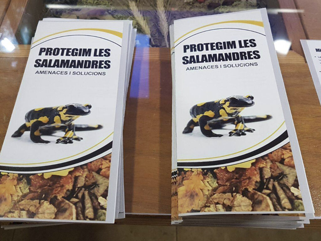 104119617_588184445176842_2300864646985218098_n