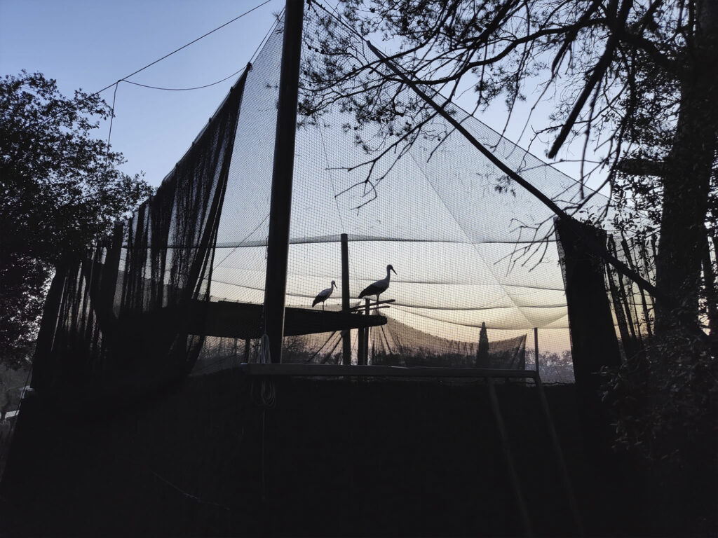 269824828_921791115149505_4226598214441842189_n