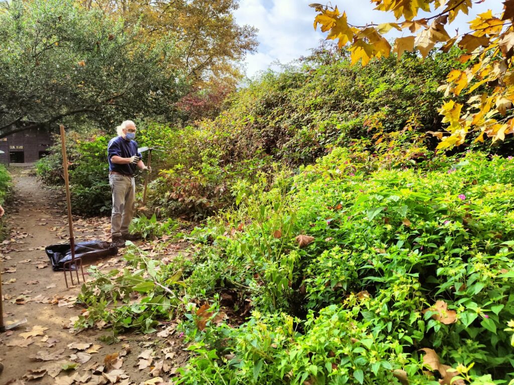 269860448_921791211816162_3215460513552787300_n