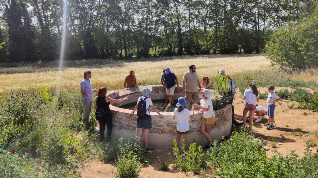 WhatsApp Image 2022-06-15 at 4.27.25 PM (1)