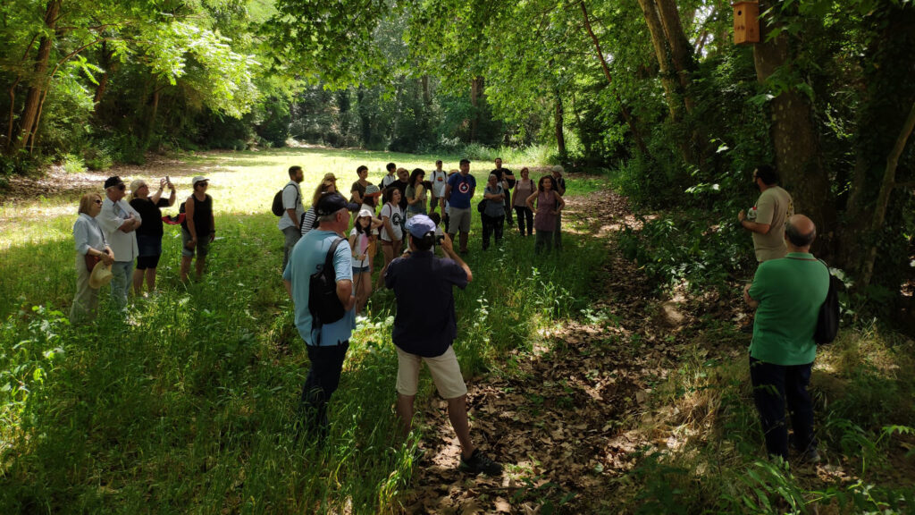 WhatsApp Image 2022-06-15 at 4.39.27 PM