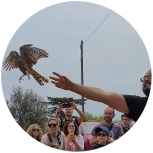 Captura de pantalla 2024-02-16 123418